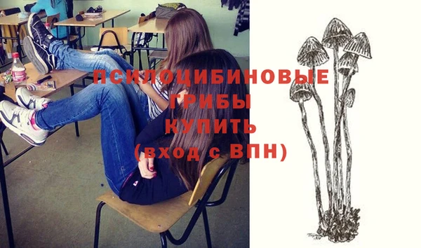 кокс Алзамай