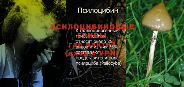 кокс Алзамай