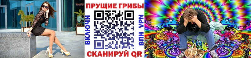 Псилоцибиновые грибы Magic Shrooms  наркота  KRAKEN вход  Богородск 